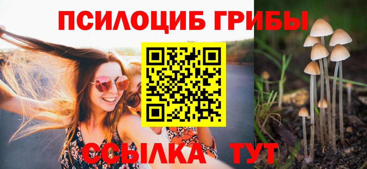 Галлюциногенные грибы GOLDEN TEACHER Оренбург